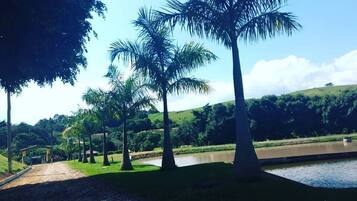 A pathway leading to a building with a covered entrance, surrounded by palm trees and a body of water.