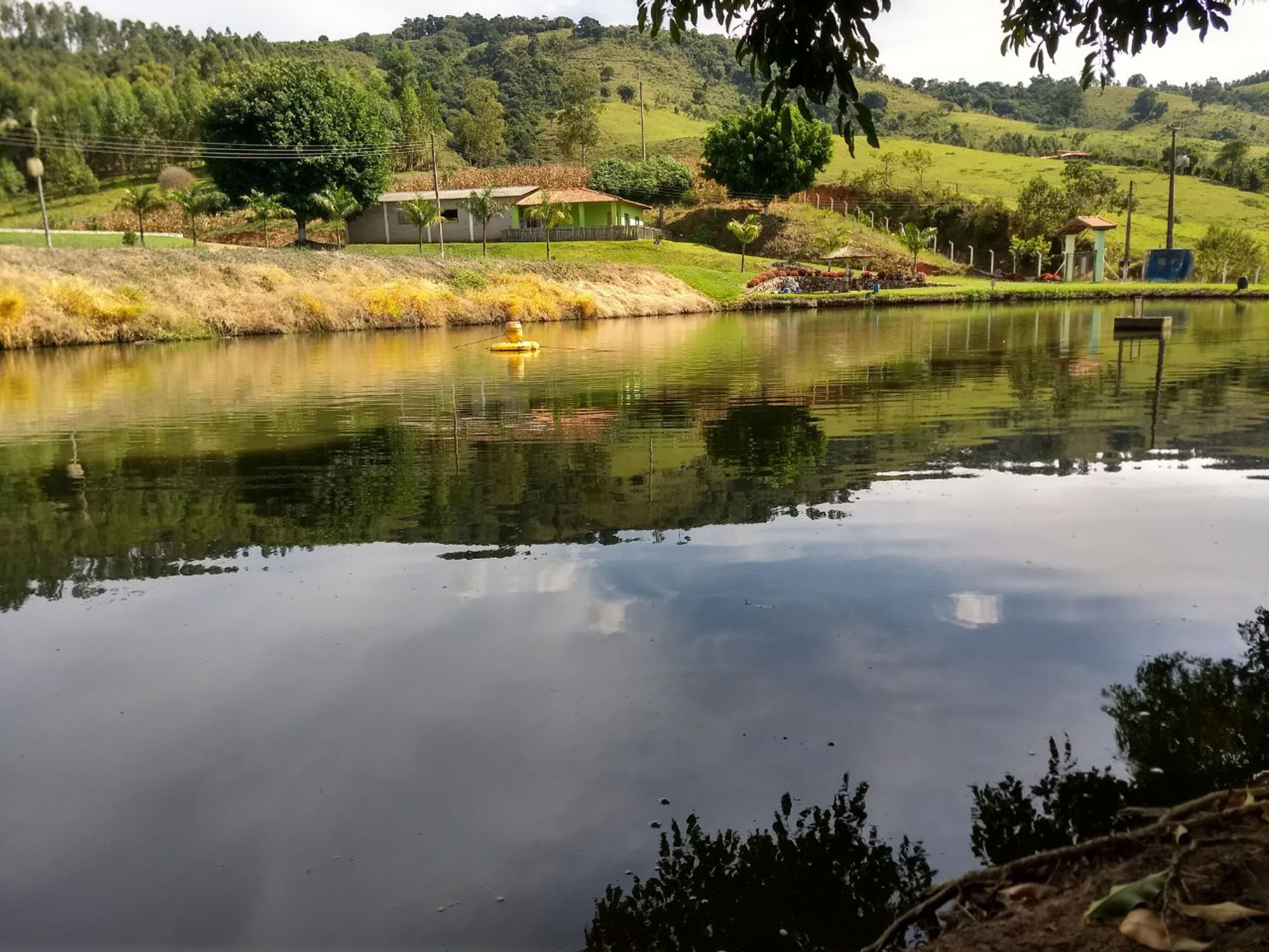 A calm lake with a yellow buoy, surrounded by lush greenery and hills.