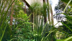 A lush garden with various plants and a building in the background. - Ilalo Garden Hotel & Restaurant (Tumbaco)