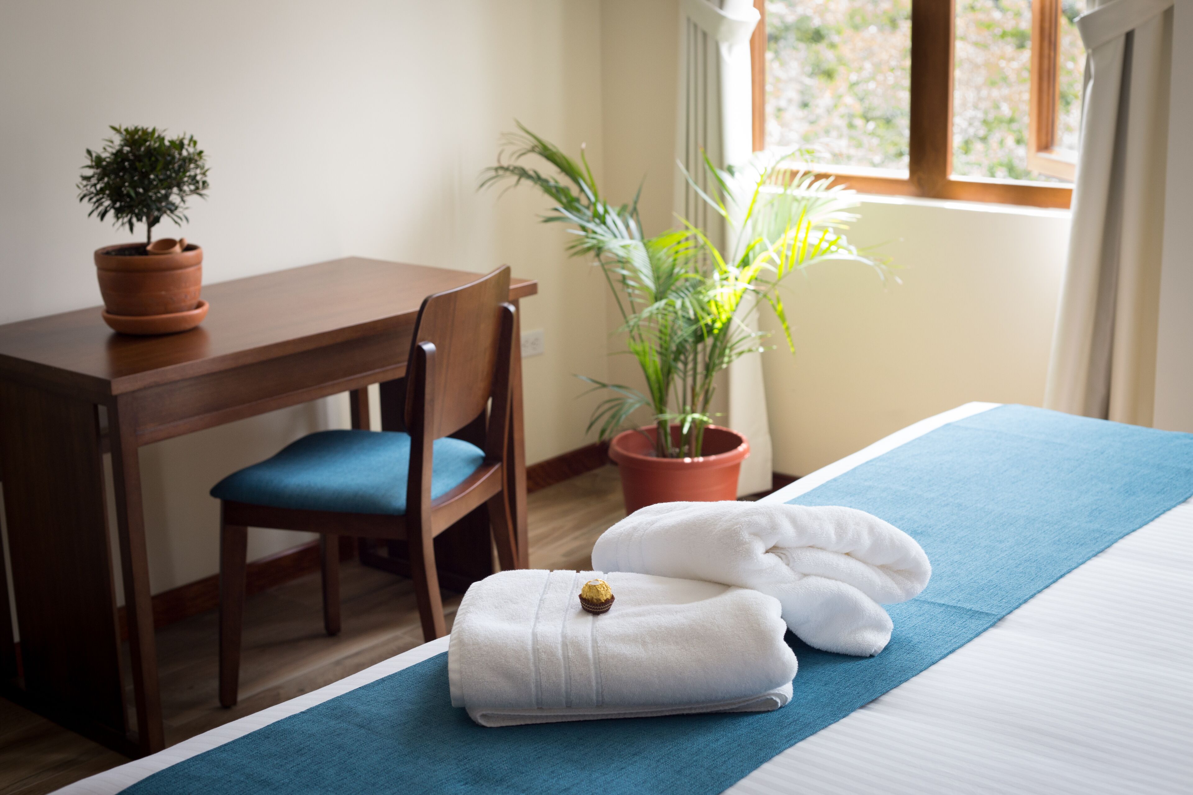 Une chambre d’hôtel bien rangée, avec un lit, une serviette bleue, une petite plante en pot, un bureau en bois et une chaise.
