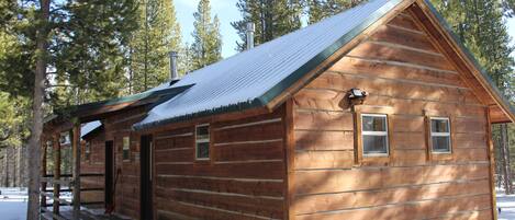 A wooden cabin with a snow-covered roof, surrounded by tall pine trees.