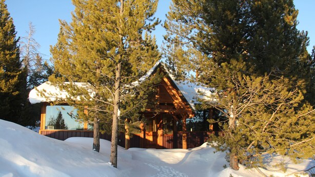 A cabin surrounded by snow-covered ground and tall pine trees. - Sugar Loaf Lodge & Cabins (Anaconda)