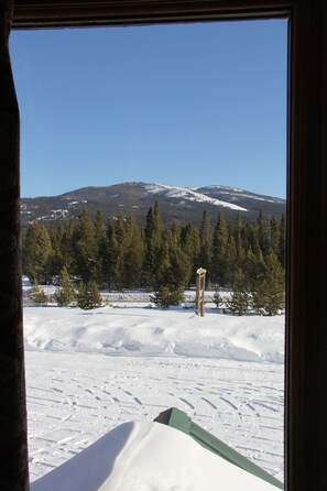 Classic Suite, Non Smoking, Kitchen (Lodge Suite) | Balcony view