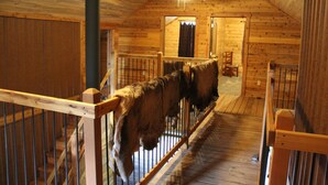 A wooden interior with a staircase leading to a loft area. - Sugar Loaf Lodge & Cabins (Anaconda)