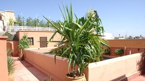 A rooftop terrace with potted plants, a tiled floor, and a building with a distinctive architectural style.