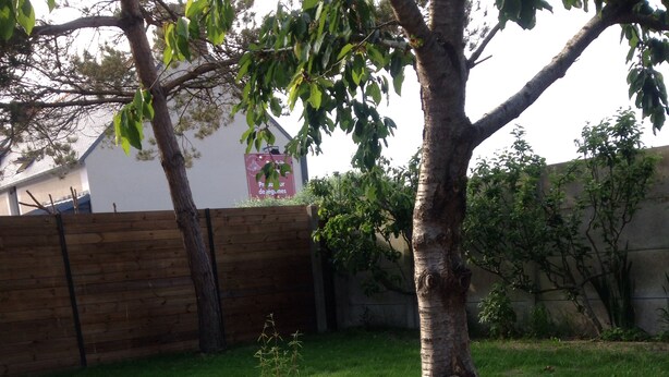 A wooden deck with a stone border and a grassy area with plants and a tree. - RENT THE TY BOUCHOT located between St Malo, Cancale and Mont St Michel (Le Vivier-sur-Mer)
