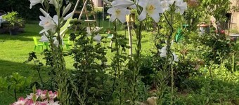 Duplex apartment very well located and quiet