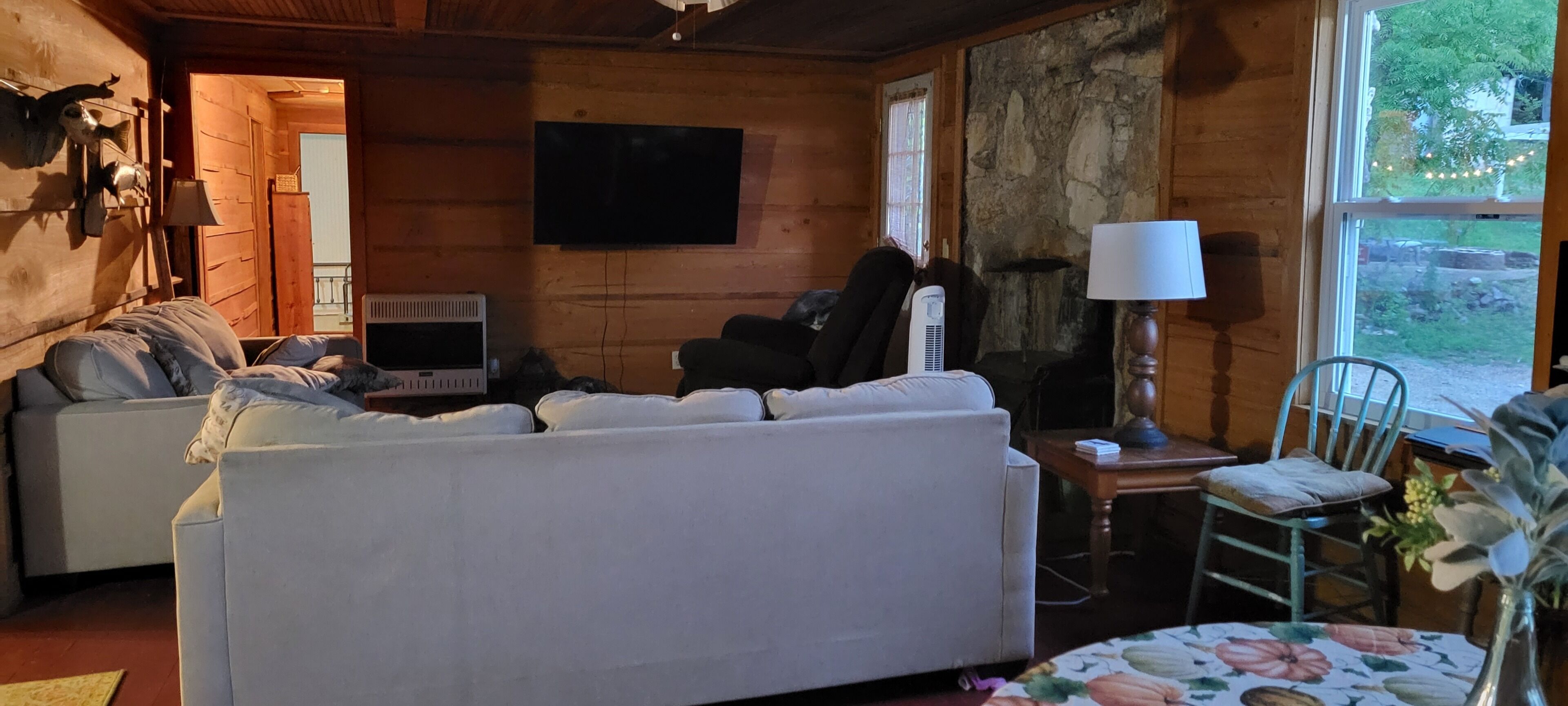 TV, fireplace, DVD player, books