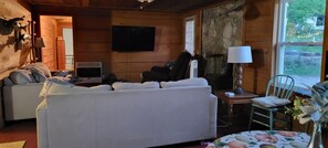 Una televisión, una chimenea, un reproductor de DVD, libros