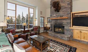 Télévision, cheminée, jeux vidéo, chaßne hi-fi