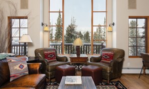 Télévision, cheminée, jeux vidéo, chaßne hi-fi