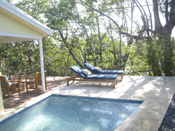 A heated pool - 2Bdrm/1Bath Waterfront. Wilton Manors. Private Pool, Parking (Wilton Manors)