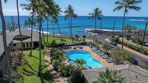 Un complexe hôtelier doté d’une piscine entourée de palmiers, offrant une vue sur la plage et comprenant un espace de stationnement.