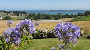 Un paysage côtier avec des champs, une étendue d’eau et des fleurs violettes au premier plan.