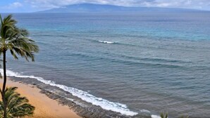 A beach with a palm tree and ocean view. - ❤️ Renovated 8th Floor Studio at The Mahana!! ❤️ (Lahaina)