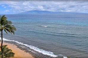 Una playa con agua azul cristalina, una orilla de arena y una palmera.