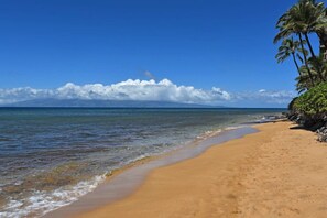 Ein Strand mit klarem, blauem Wasser, einem sandigen Ufer und Palmen.