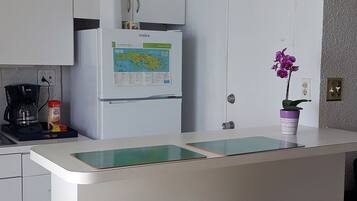 Coffee/tea maker, fridge, microwave, oven