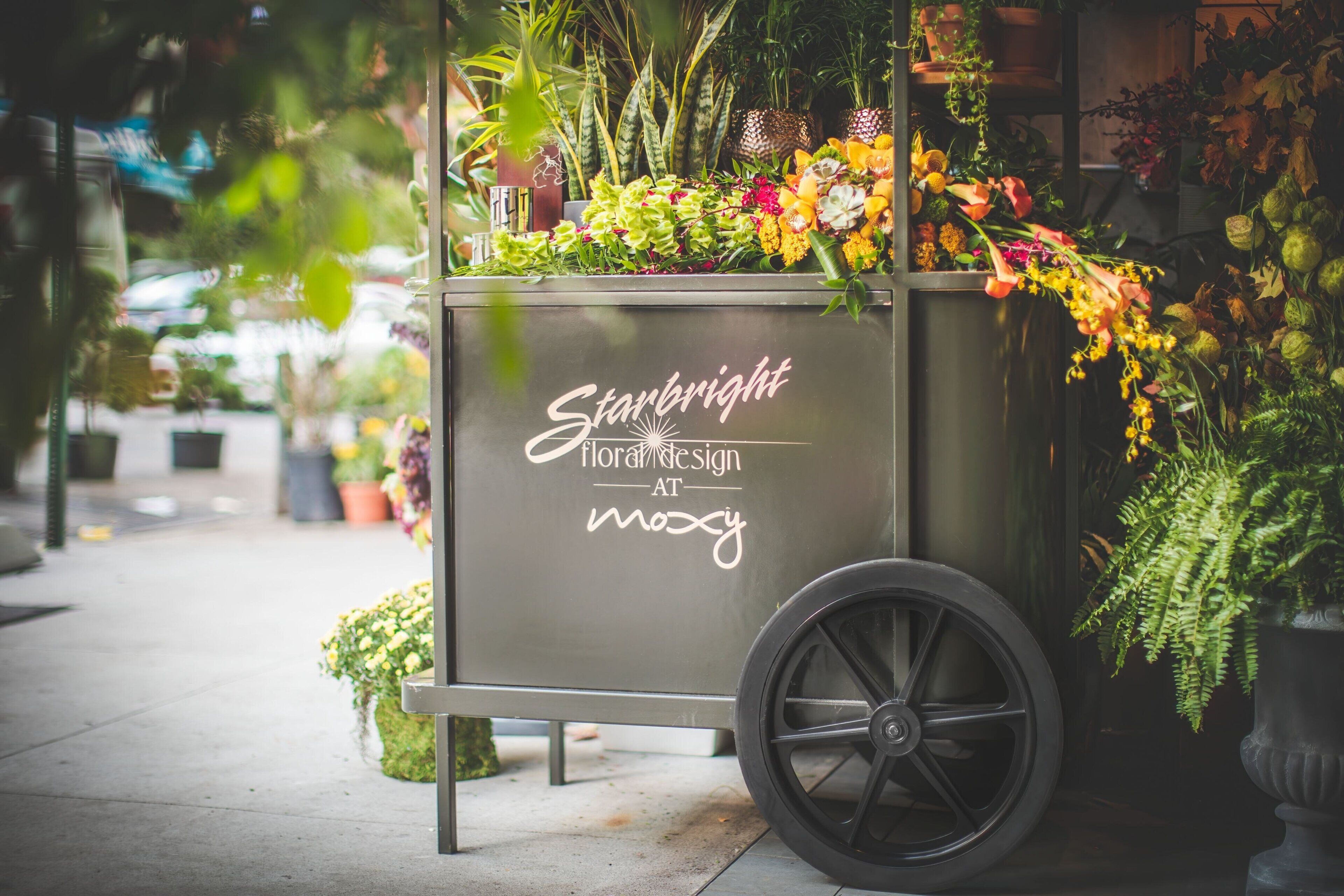 Foto - Moxy NYC Chelsea