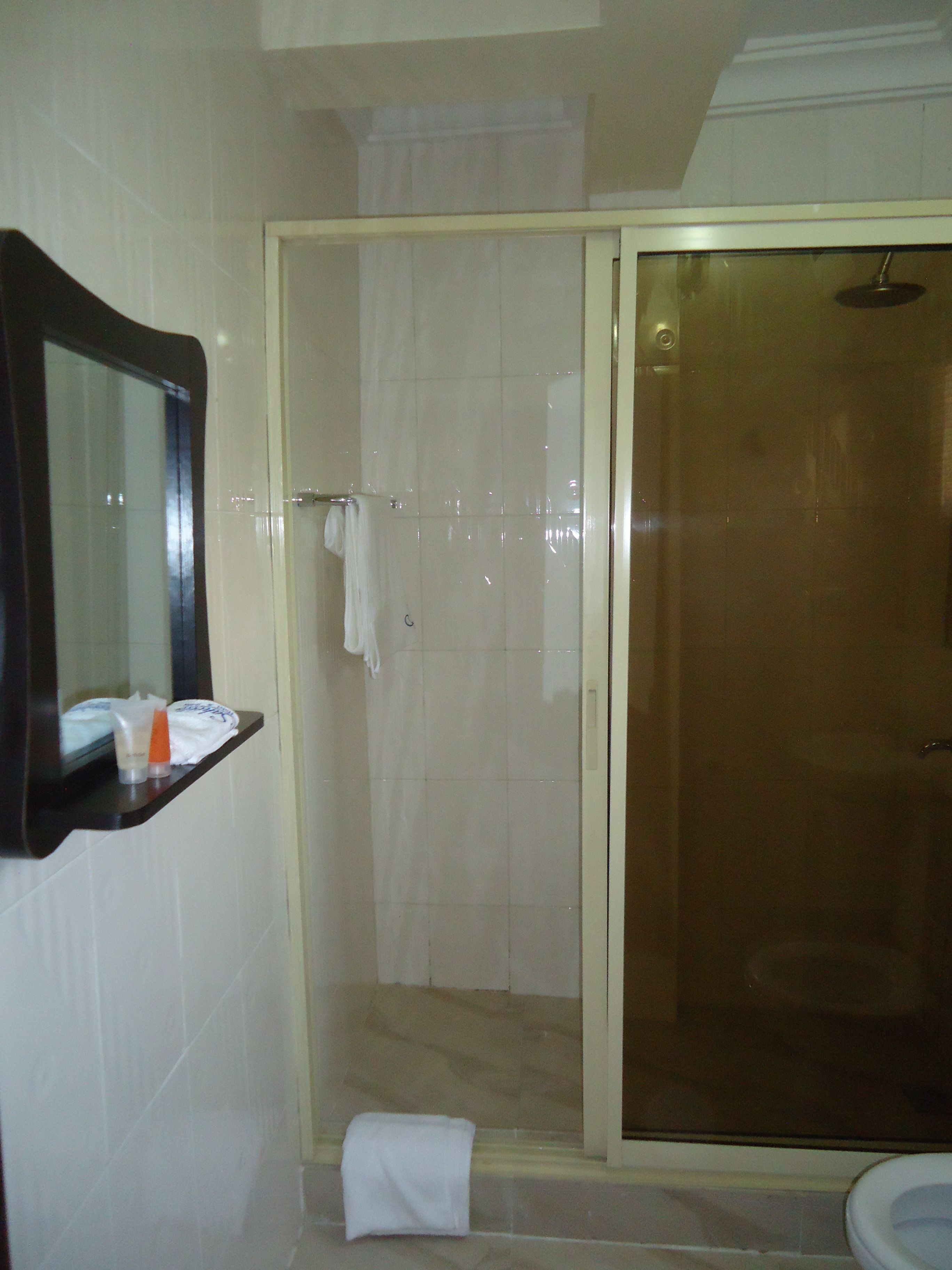 A bathroom with a glass-enclosed shower, a toilet, and a mirror on the wall.