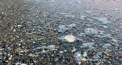 Stunning pool and ocean views await you in this beautiful, convenient condo.