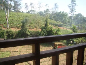 Pemandangan dari properti