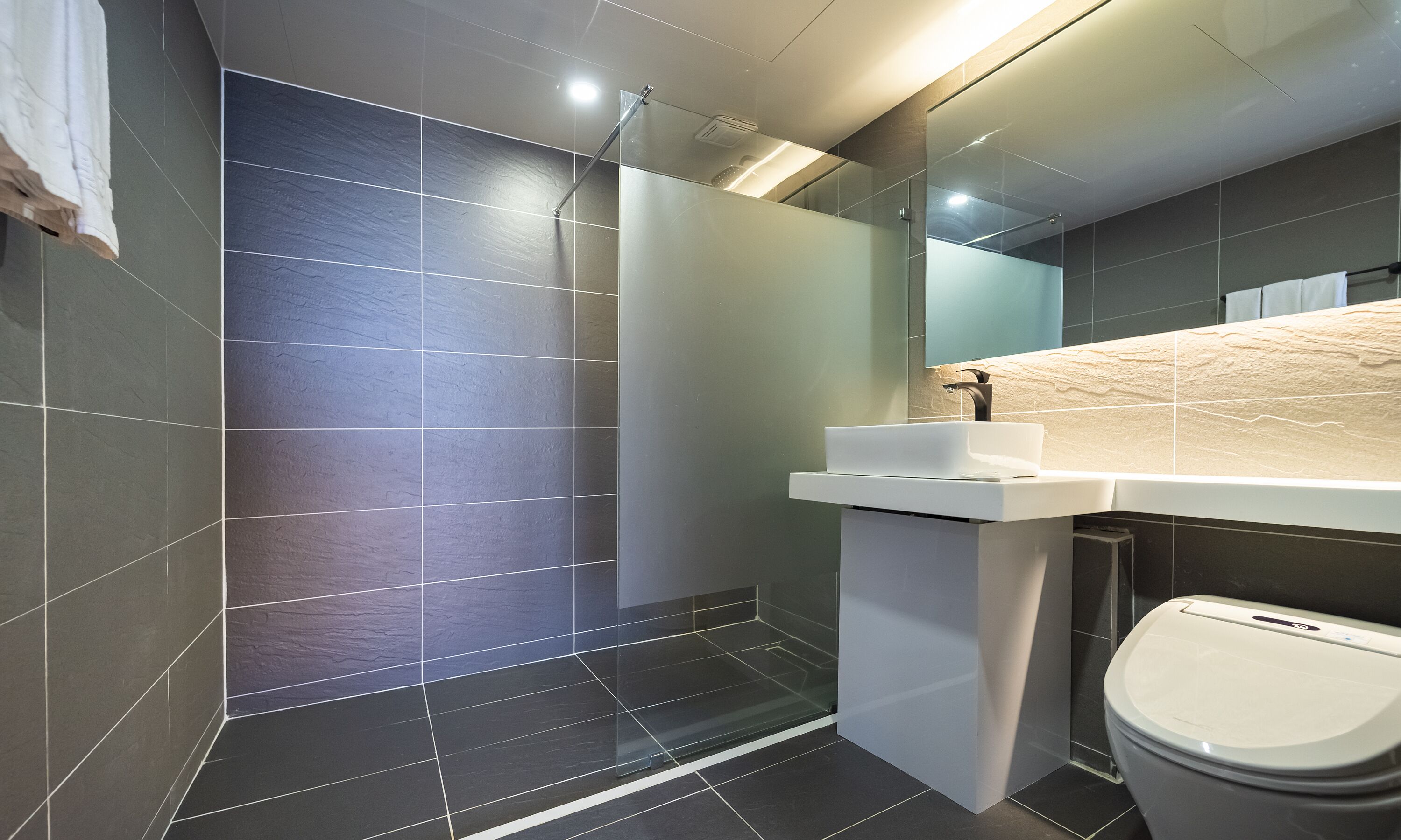 Une salle de bain moderne avec une douche à parois de verre, un lavabo blanc et des toilettes.