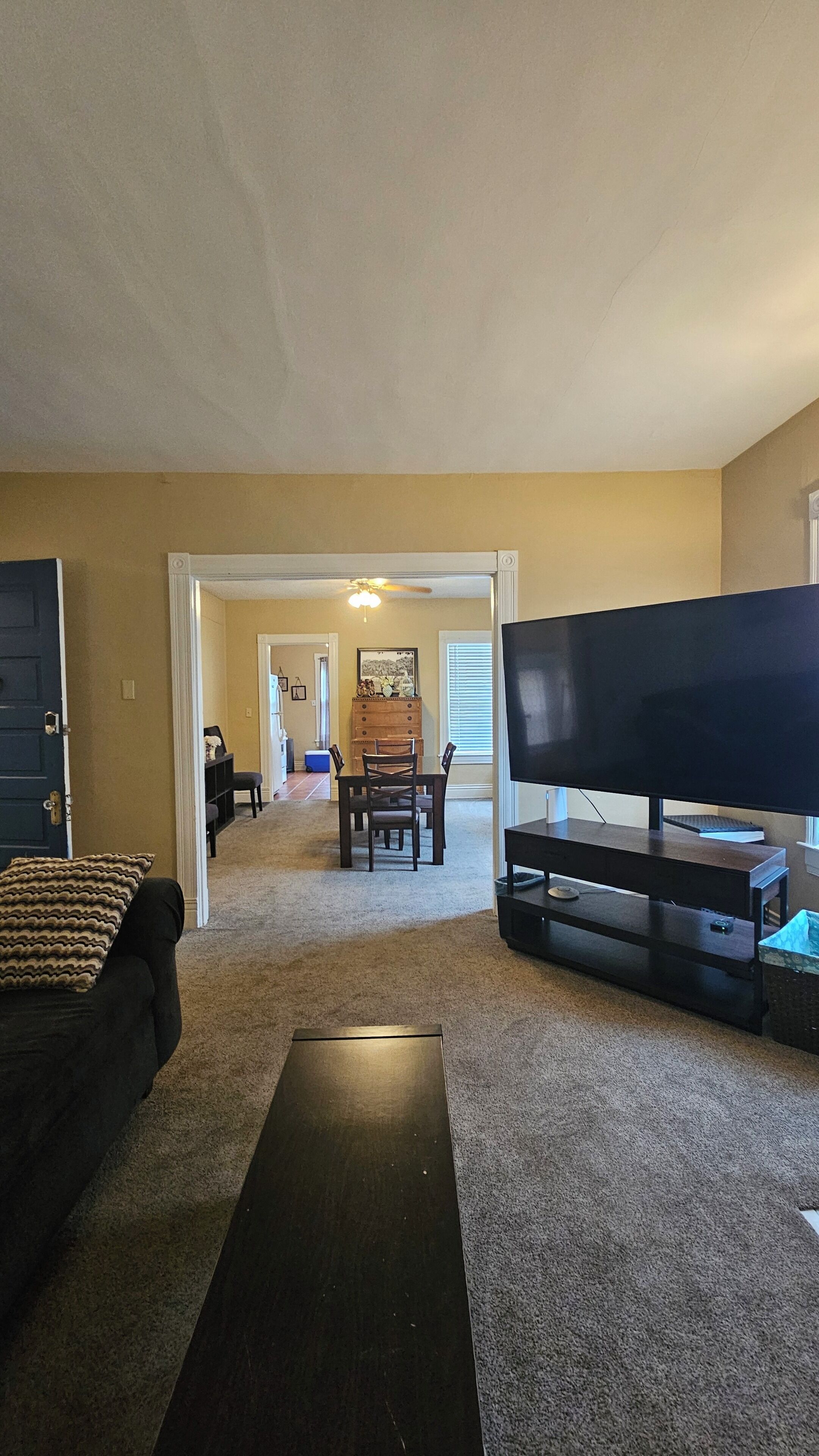 Smart-tv, pejs, bøger