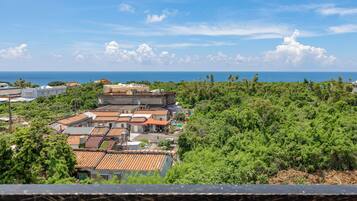 A coastal residential area with terraced houses and dense greenery.