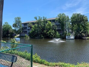 Exterior - Colony III 203 (Surfside Beach)