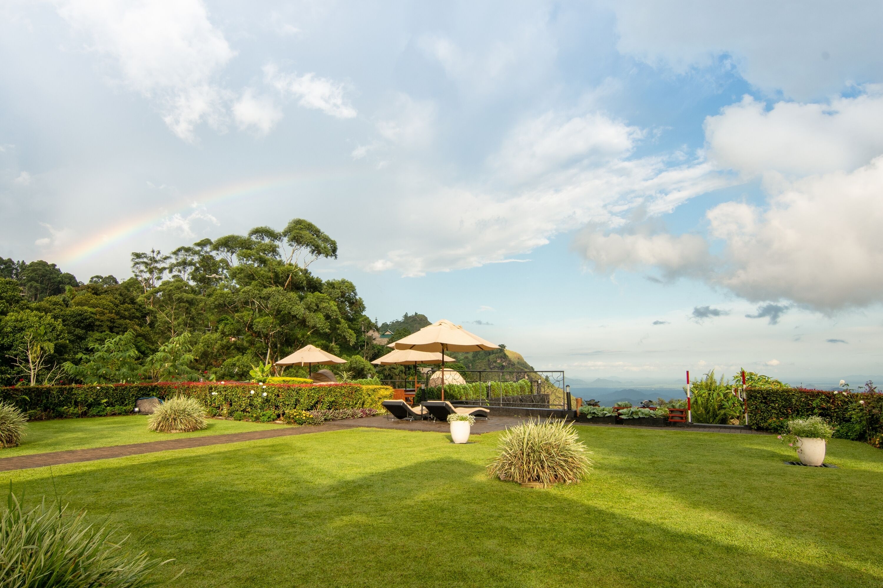 A lush garden with a lawn, outdoor seating, and a view of the ocean.