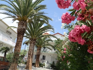 Exterior - Villa Daizy (Zakynthos)