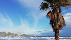 A beach with waves, a palm tree, and distant mountains. - Villa Daizy (Zakynthos)