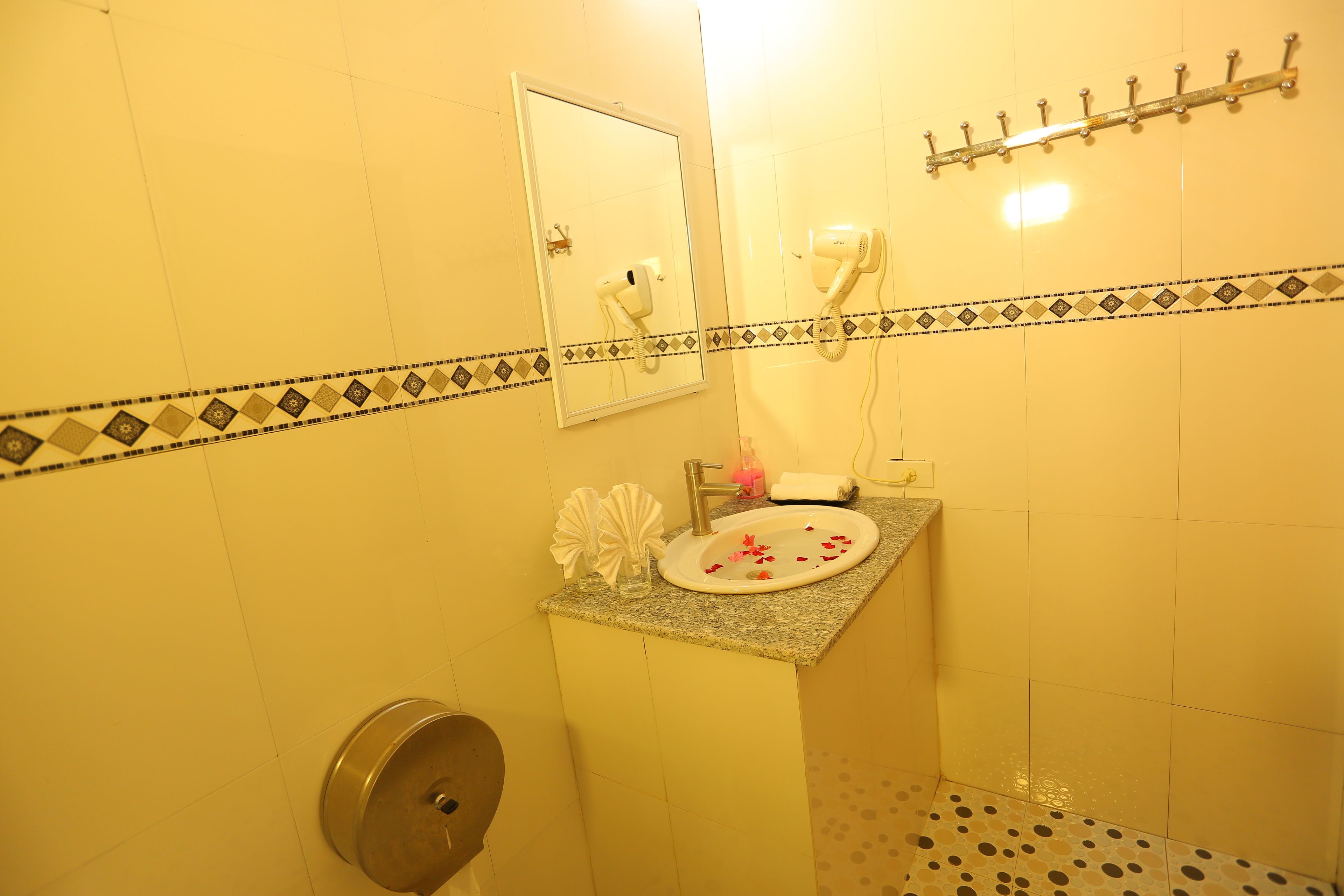 shower, free toiletries, hair dryer, bidet