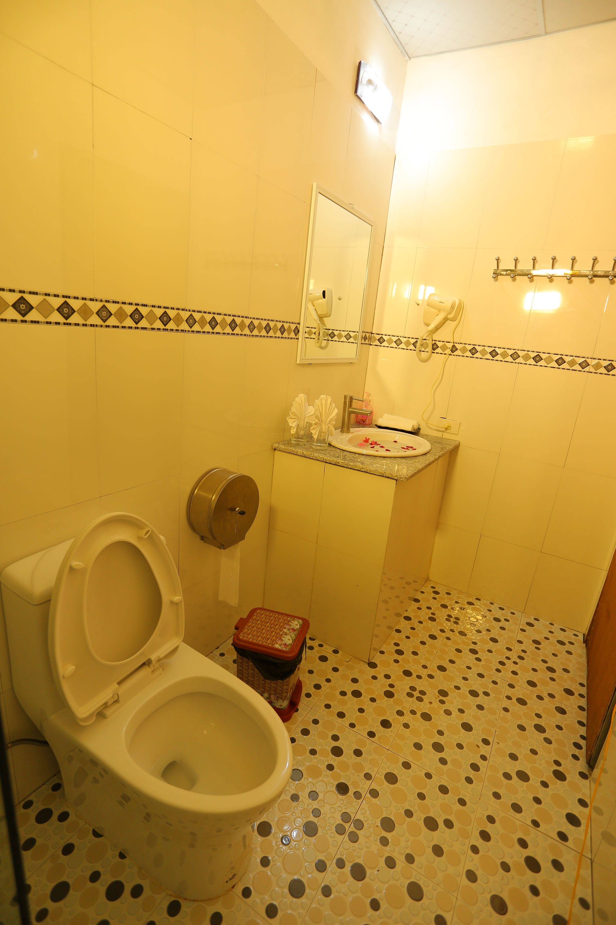 shower, free toiletries, hair dryer, bidet