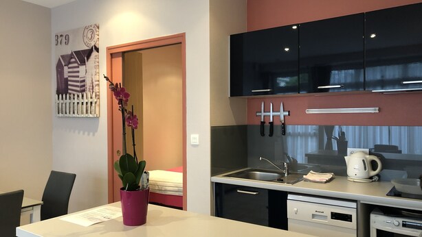 A modern kitchen with black cabinets, a white countertop, and a sink. There is a potted orchid on the counter. - Studio Cap d'Erquy - Villas des Sables (Fréhel)