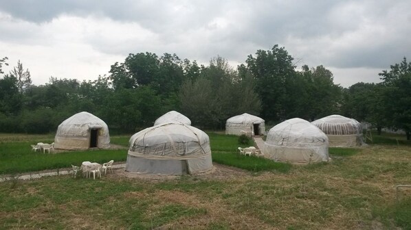 住宿正面 - 傍晚/夜晚