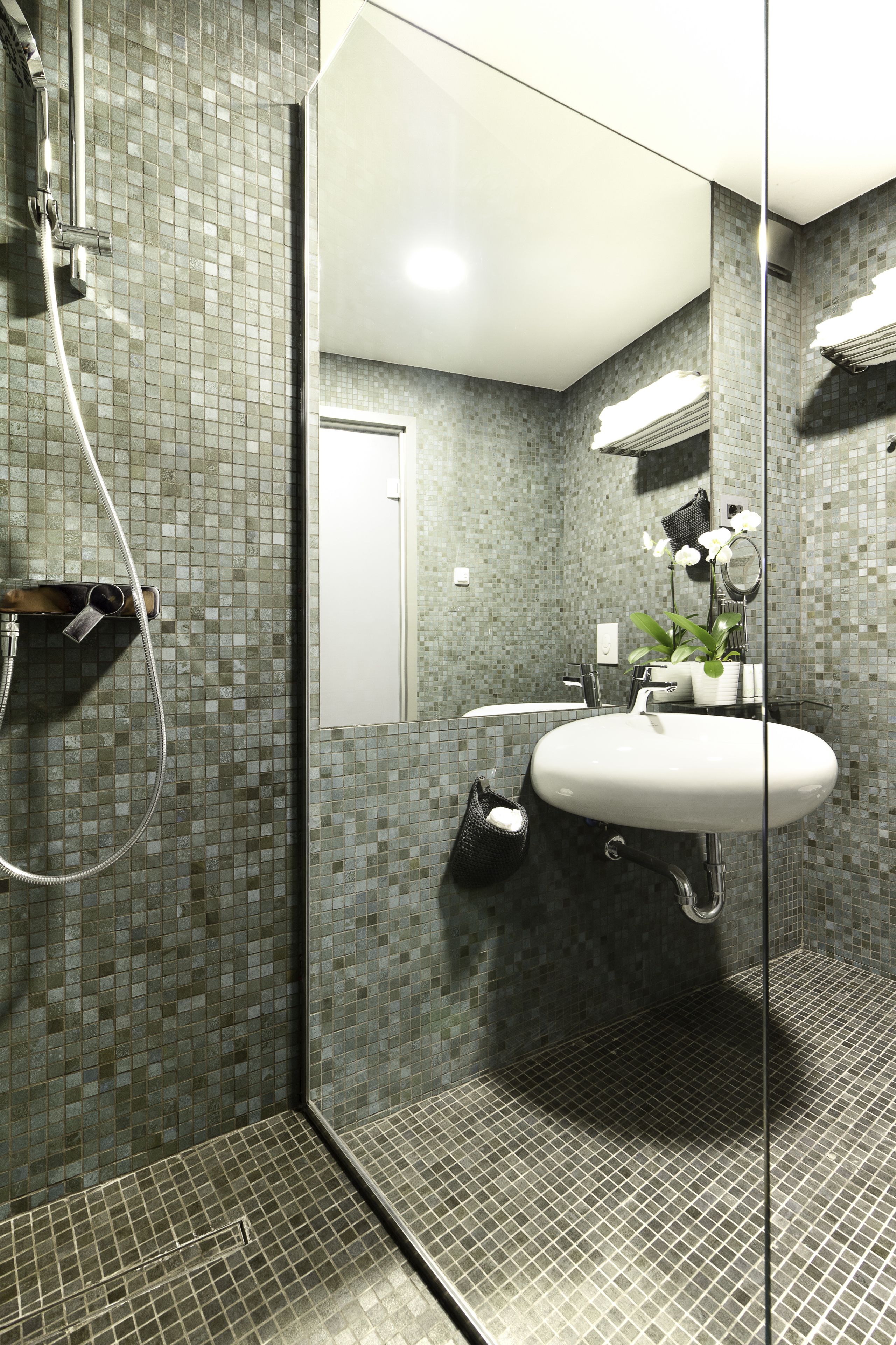 deluxe double room | bathroom | shower, free toiletries, hair dryer, bathrobes