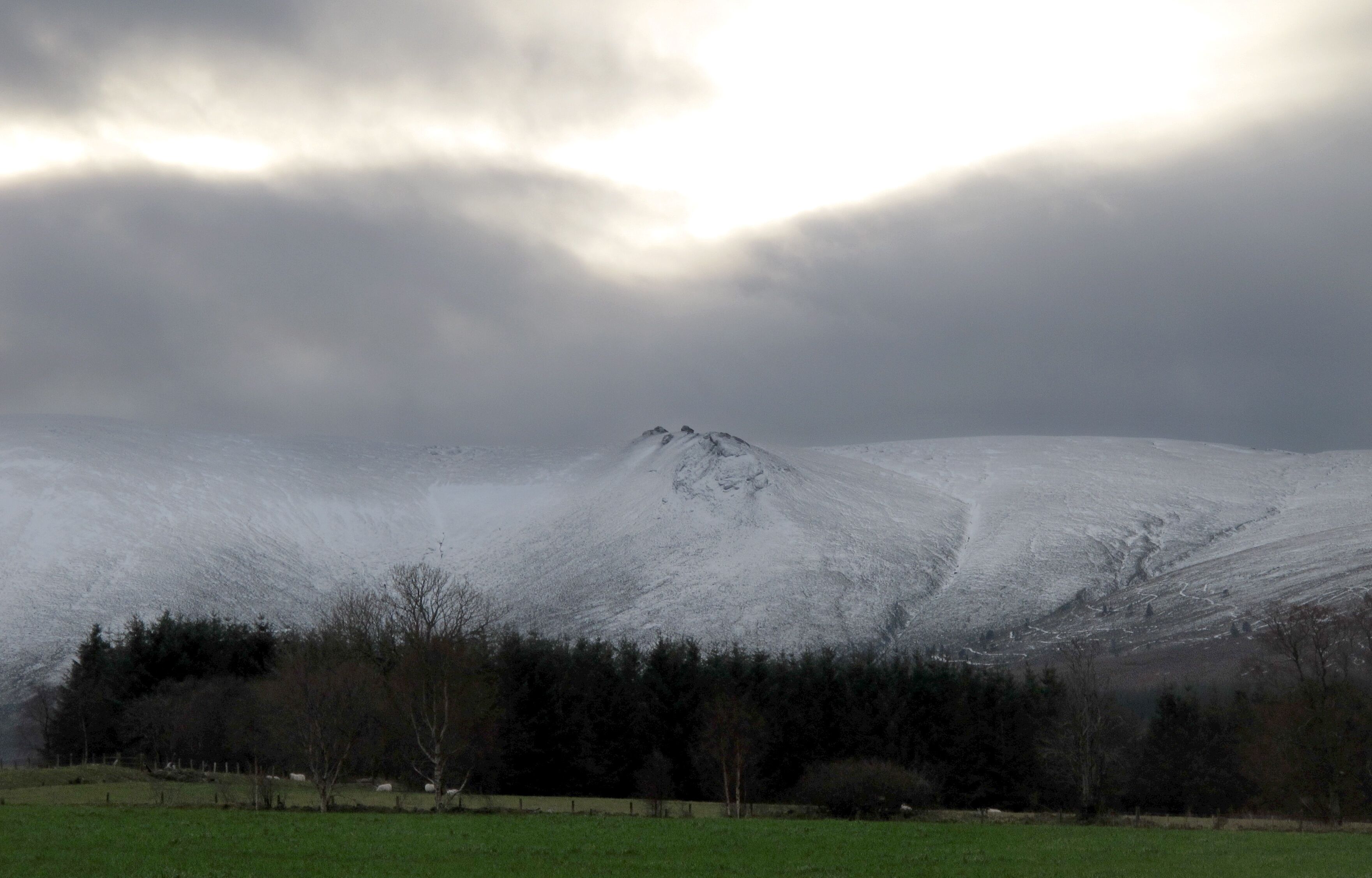 Une montagne enneigée, avec une zone boisée au premier plan.