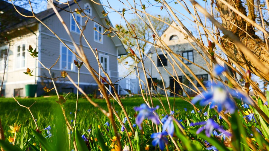 Three Pheasants Boutique B&B