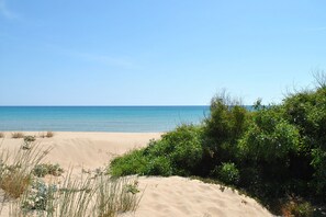 On the beach, sun-loungers
