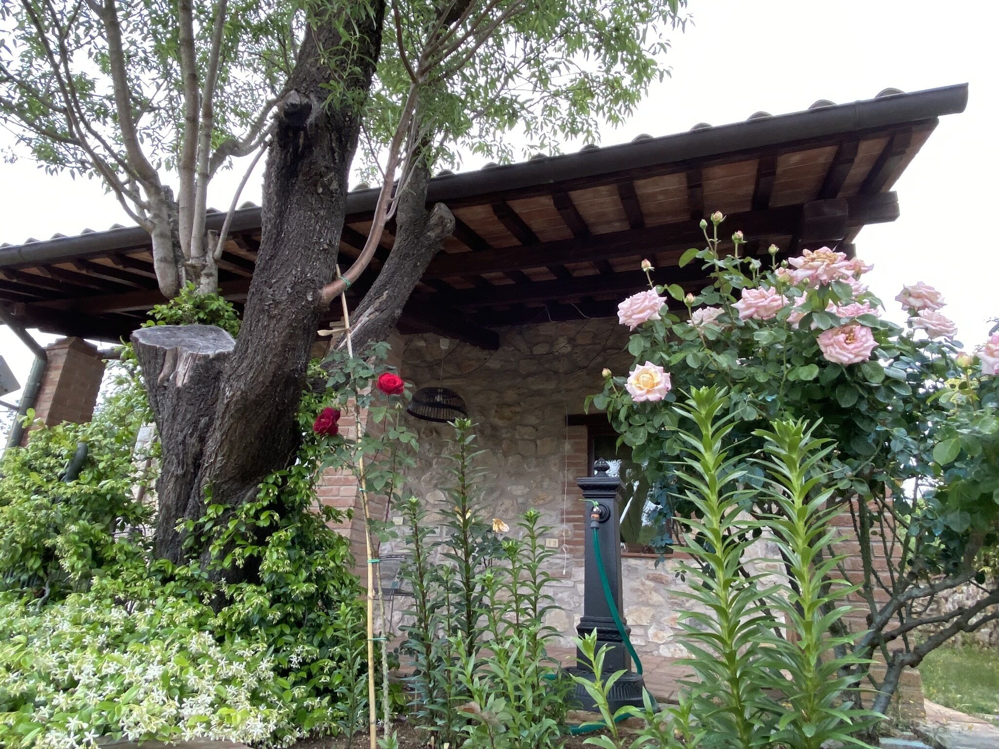 Un edificio de piedra con techo de madera, rodeado de abundante vegetación y plantas con flores.