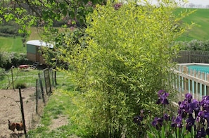 Garden - Les Roulottes du Lauragais (Montmaur)