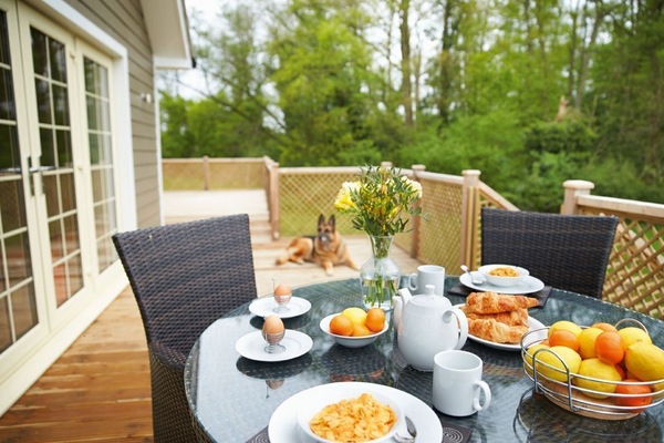 Campion Lodge, Colne Valley: Decked area with garden furniture and hot tub