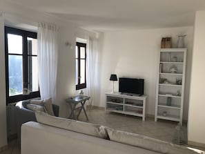 Televisión y libros