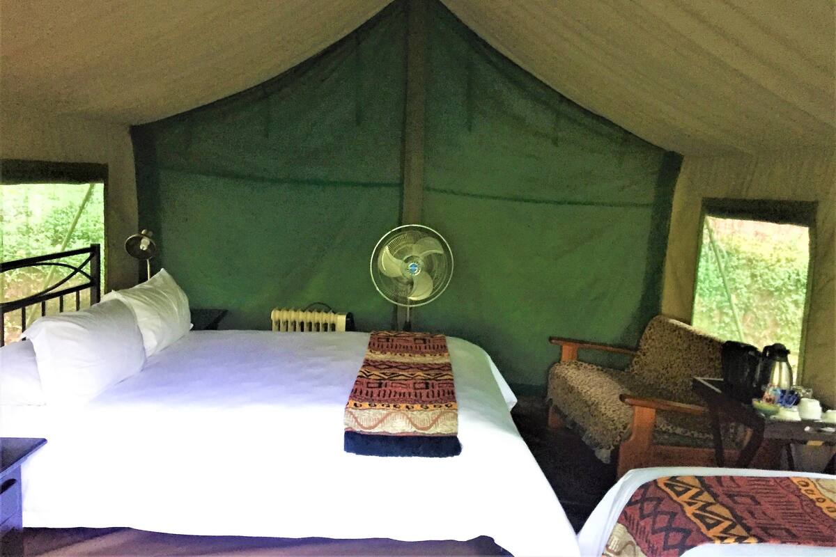 A tented room with a bed, a chair, a table with a kettle, and a fan.