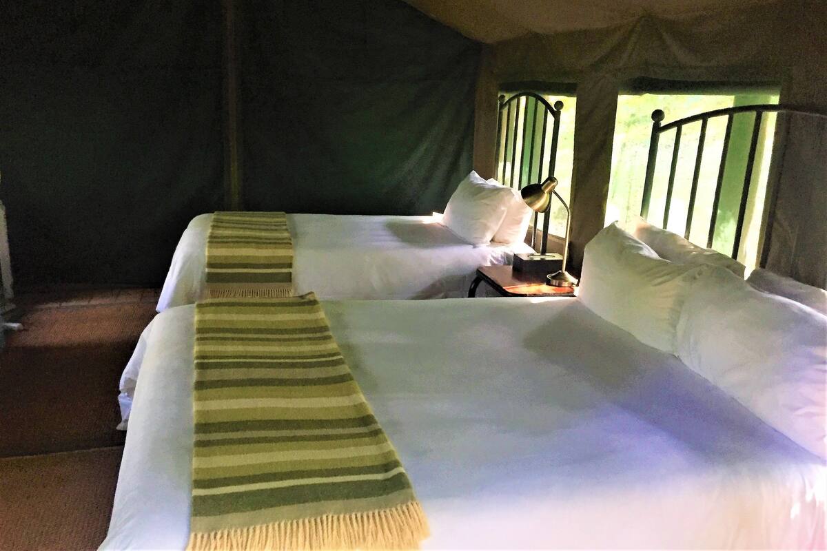 A tented accommodation with two beds, each with white linens and striped blankets.