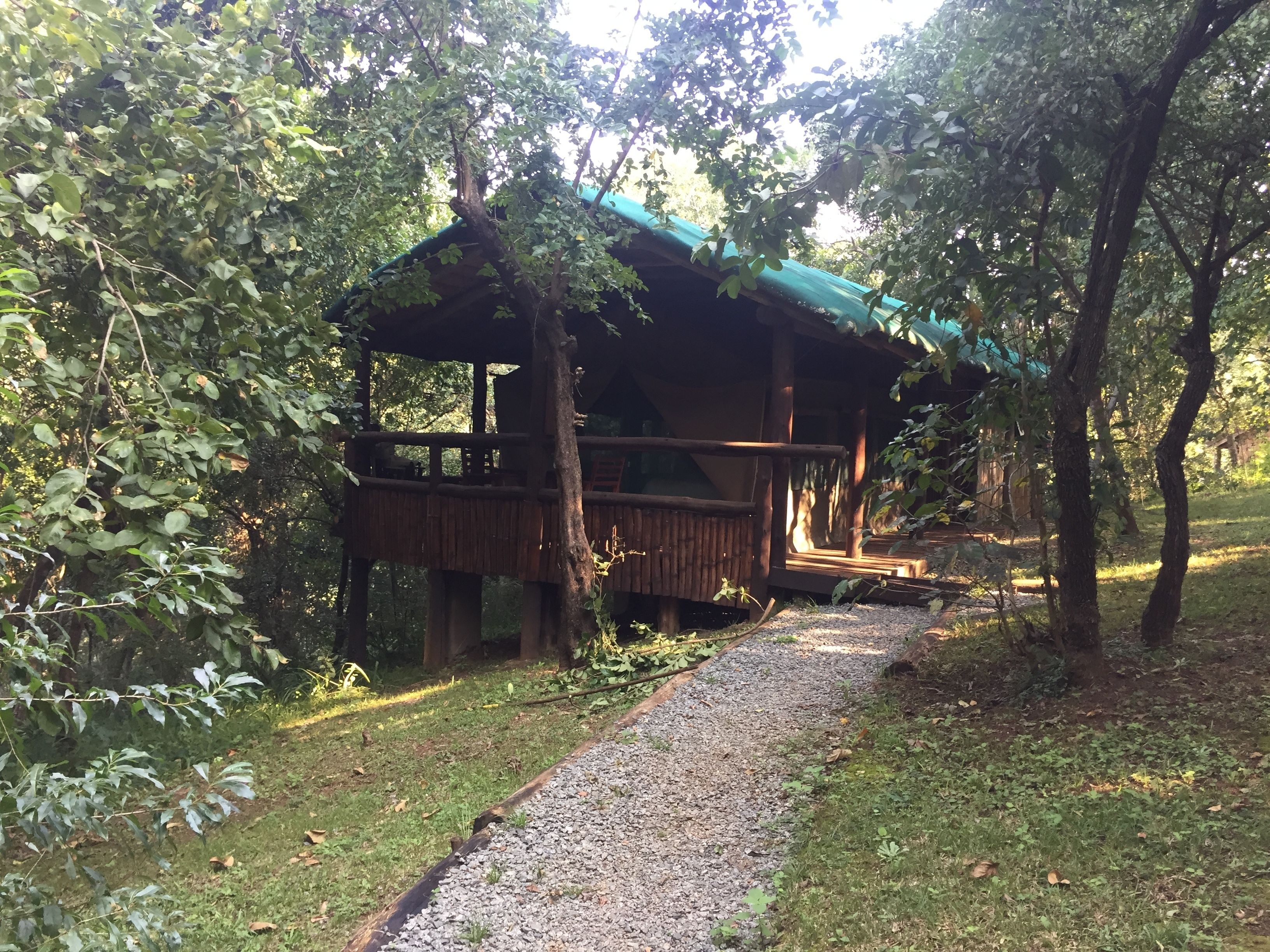 A wooden cabin with a covered porch, surrounded by trees and a gravel path.
