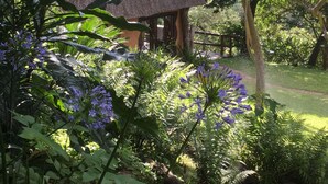 A thatched-roof structure surrounded by lush greenery and purple flowers. - Phophonyane Falls Ecolodge (Piggs Peak)