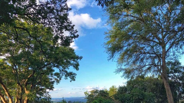 A swimming pool surrounded by trees and a clear sky. - Phophonyane Falls Ecolodge (Piggs Peak)